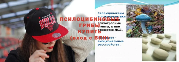 СК Алзамай