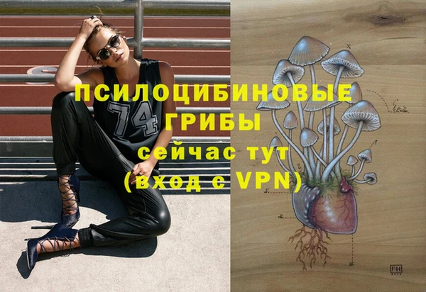 mix Пролетарск