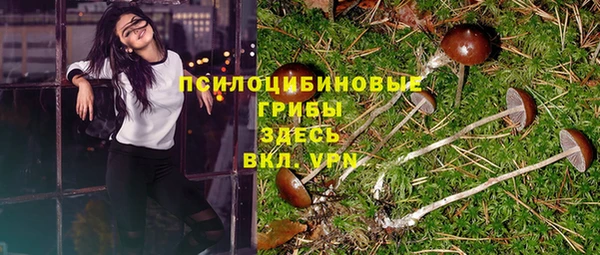 твердый Алексеевка